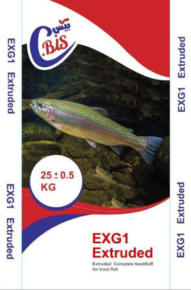 EXG1