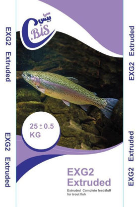 EXG2