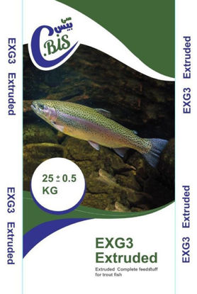 تصویر  EXG3