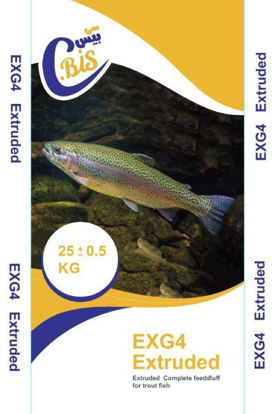 تصویر  EXG4