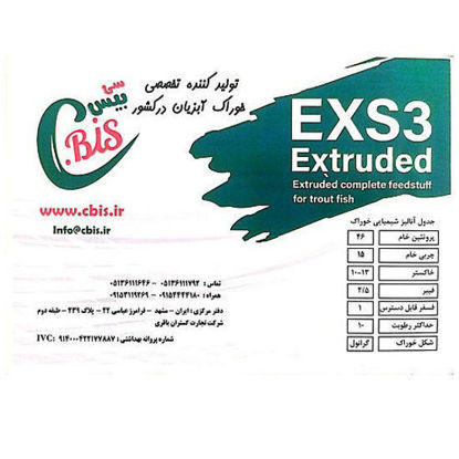 آغازین 3