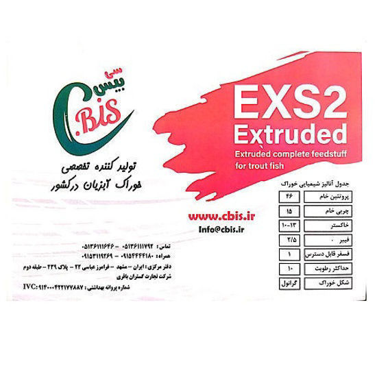 آغازین 2